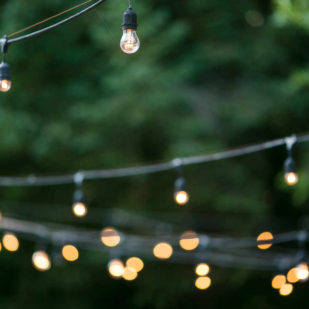 Outdoor Motif Lights – Santa's Warehouse