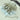 Fairy Light: Vintage | 20m Pure White