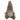 Soft toy: 41cm | Gnome sitting | Female