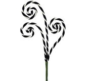 Pick: 52cm | Black & White| Curly Spiral Spray
