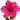 Poinsettia : 25cm | Pienk