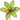 Poinsettia: 30cm | Green and Red