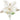 Poinsettia: 45cm | Glitter Champagne