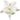 Poinsettia: 45cm | Glitter Champagne