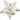 Poinsettia: 45cm | Glitter Champagne