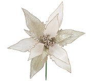 Poinsettia: 30cm | Champagne