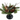 Candle Holder: 21cm | Green branches & Pine cones | 1-arm candle holder