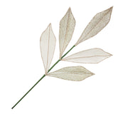 Pick: 52cm | Champagne leave