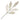 Pick: 52cm | Champagne leave