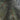 Christmas Tree: Pencil Trim Tree 2.1m