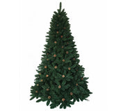 Canadian Christmas Tree: 2.1m