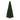 Christmas Tree: Canadian 4m