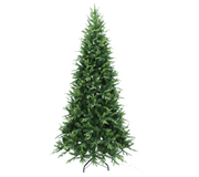 Korean Green Christmas Tree: 2.4m