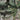 Korean Green Christmas Tree: 2.4m
