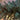Canadian Garland: 5m